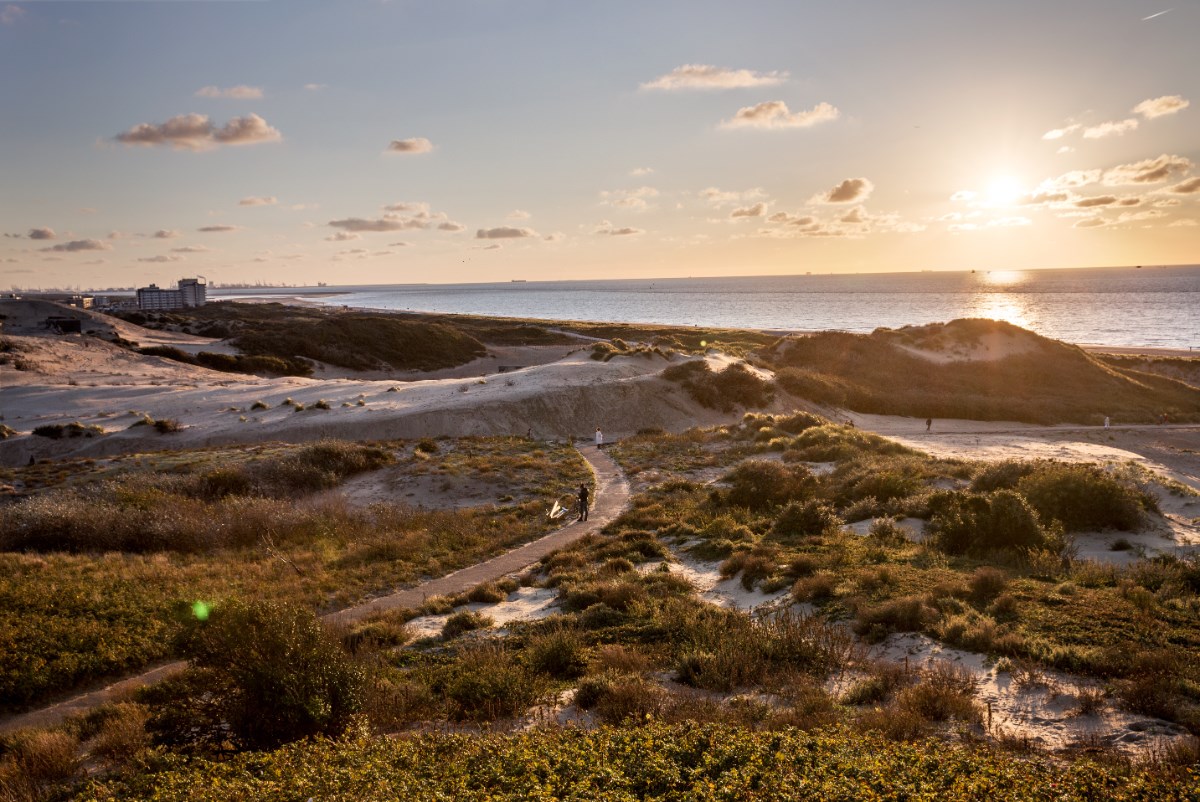 Coast marathon parcours