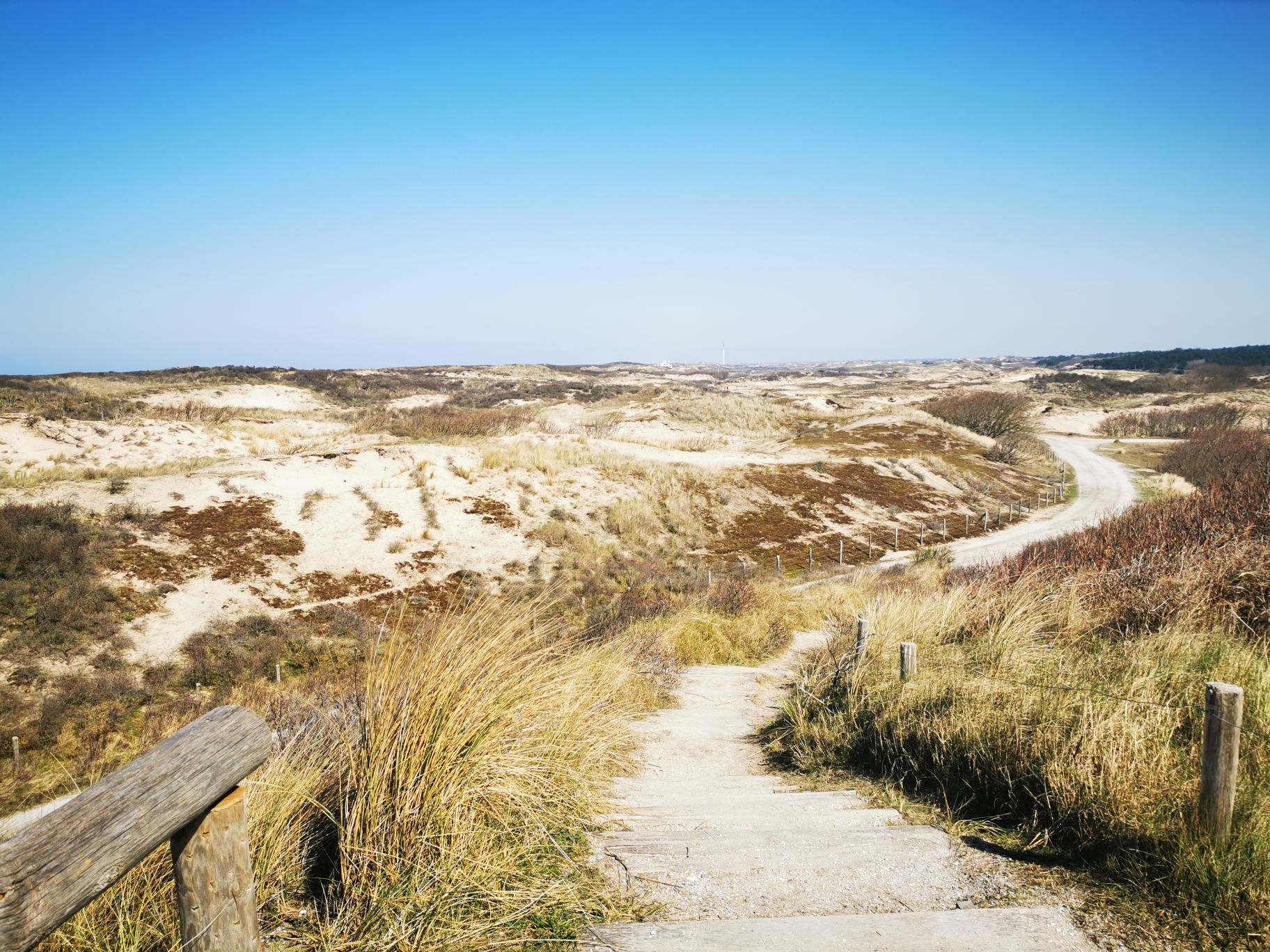 Coast marathon parcours
