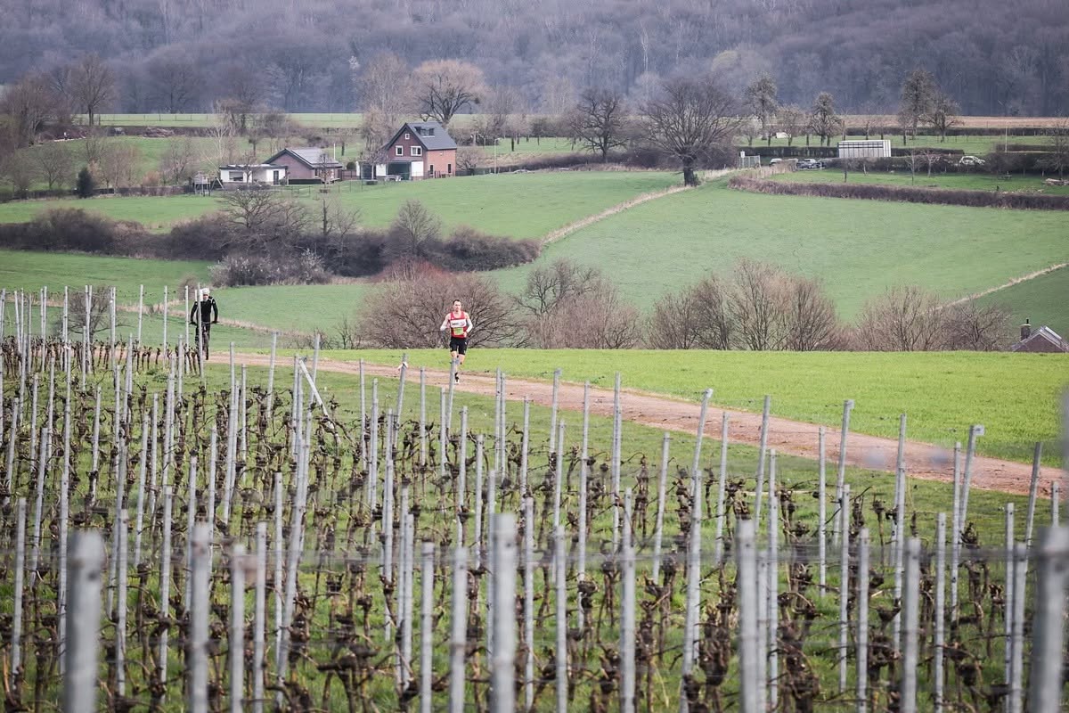 Bearsports Heuvelland marathon