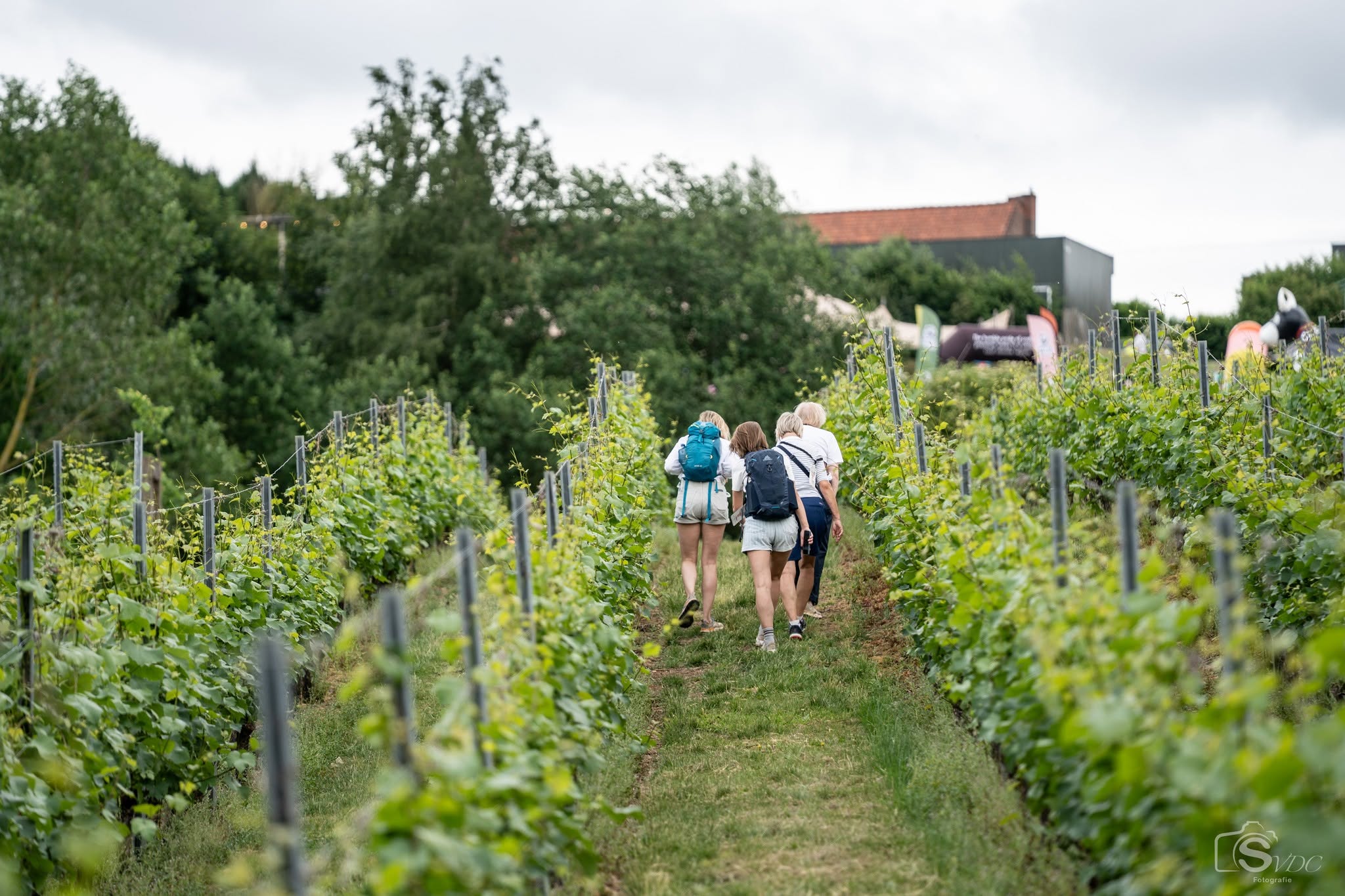 Wine Lovers Walk Heuvelland