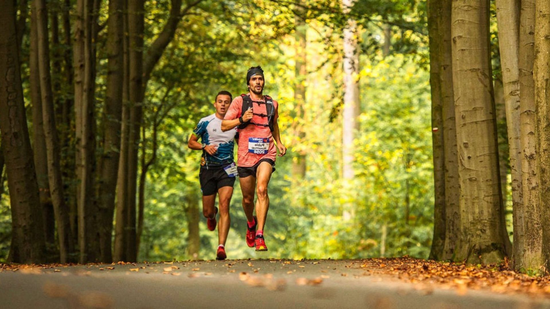 Castle Trail La Hulpe