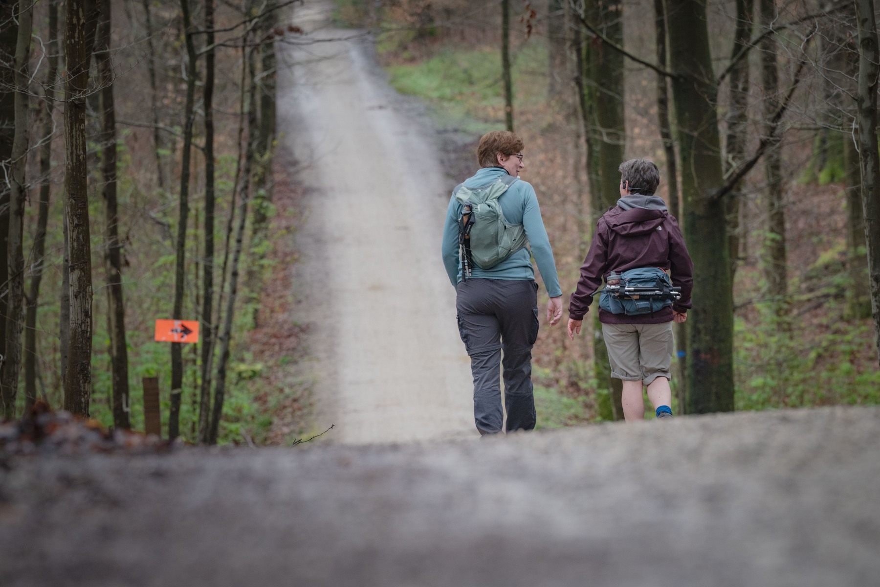 20km door het Zoniënwoud WALK