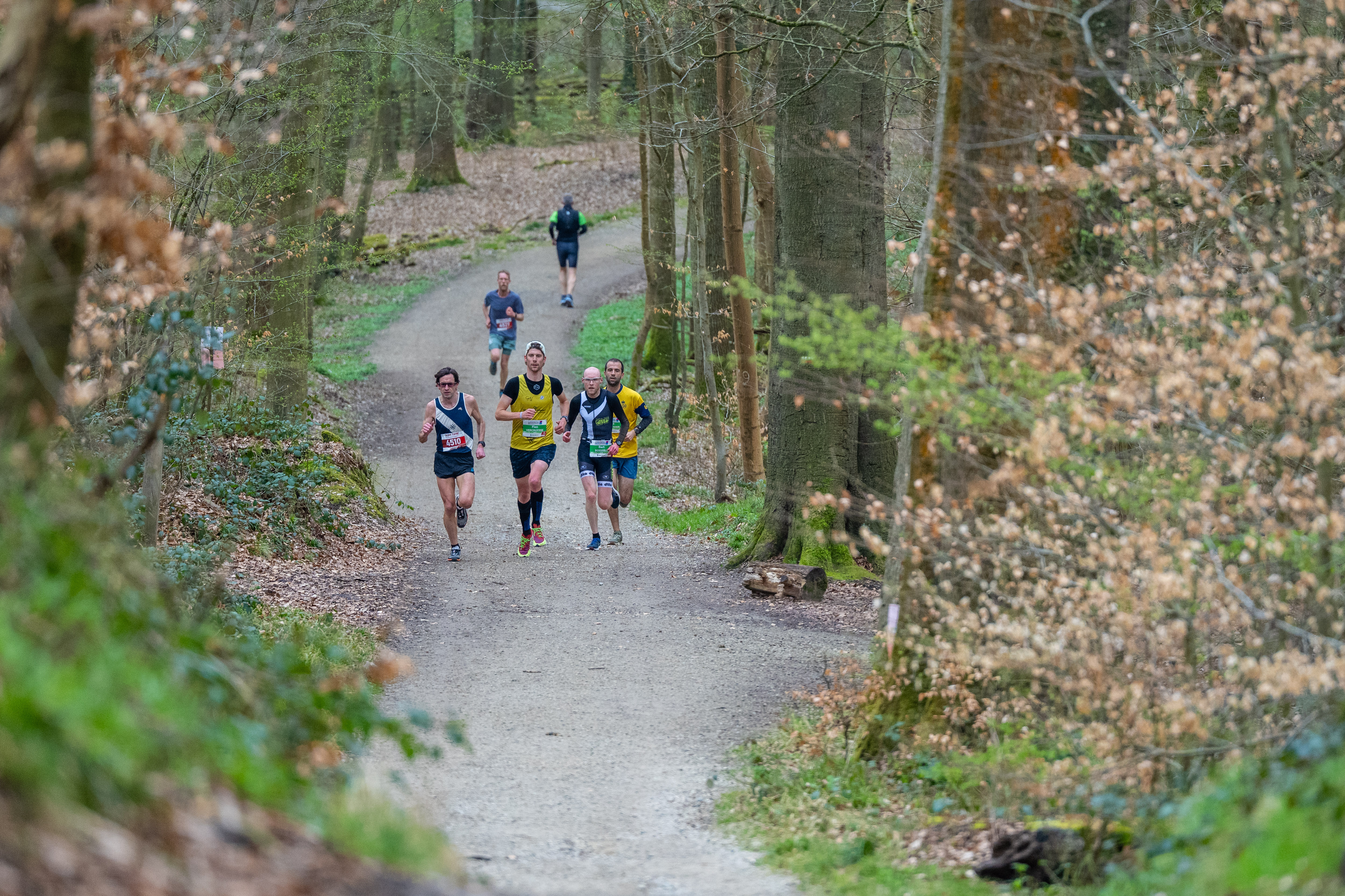 20km door het Zoniënwoud