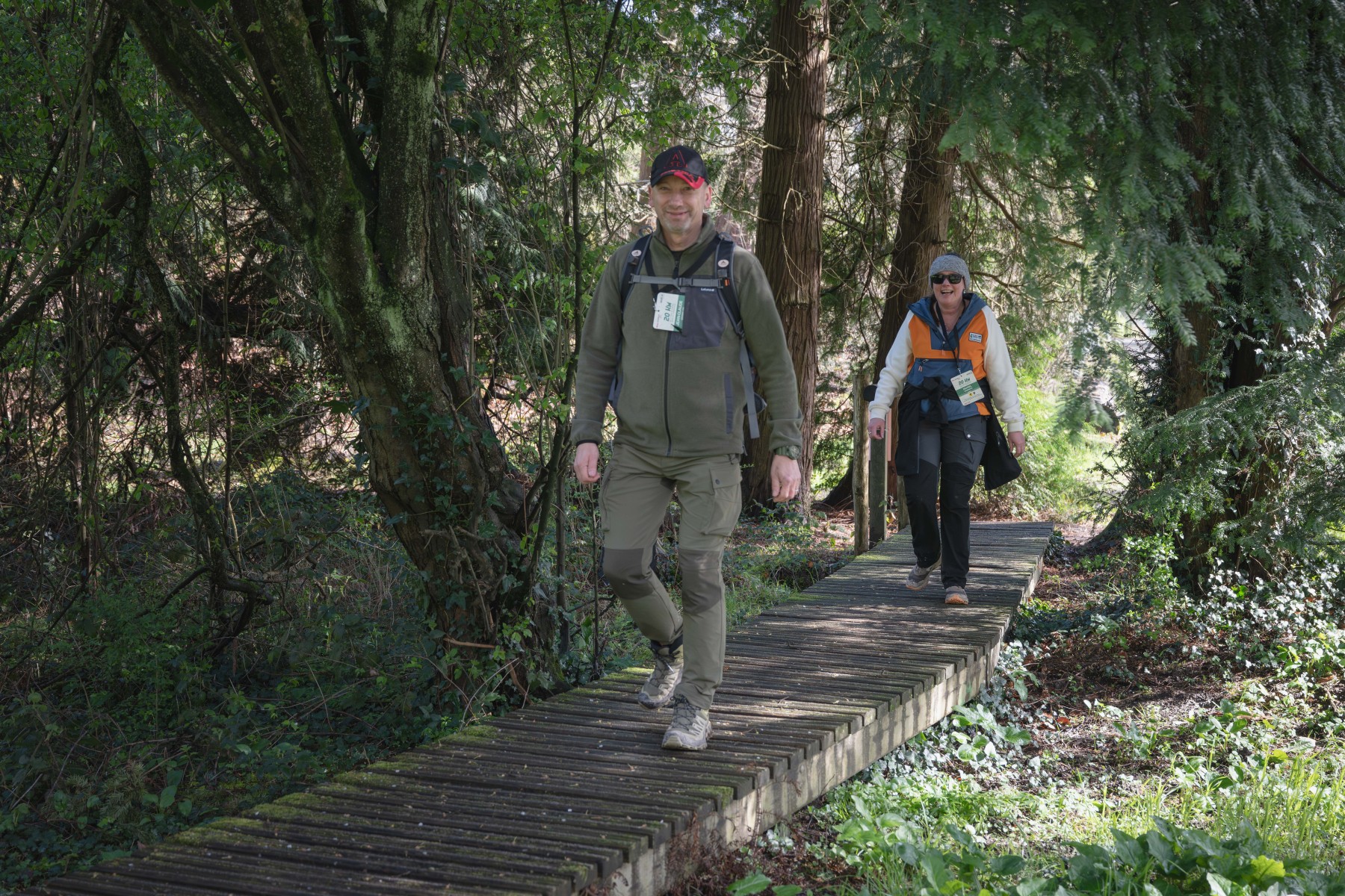 30km door het Zoniënwoud WALK