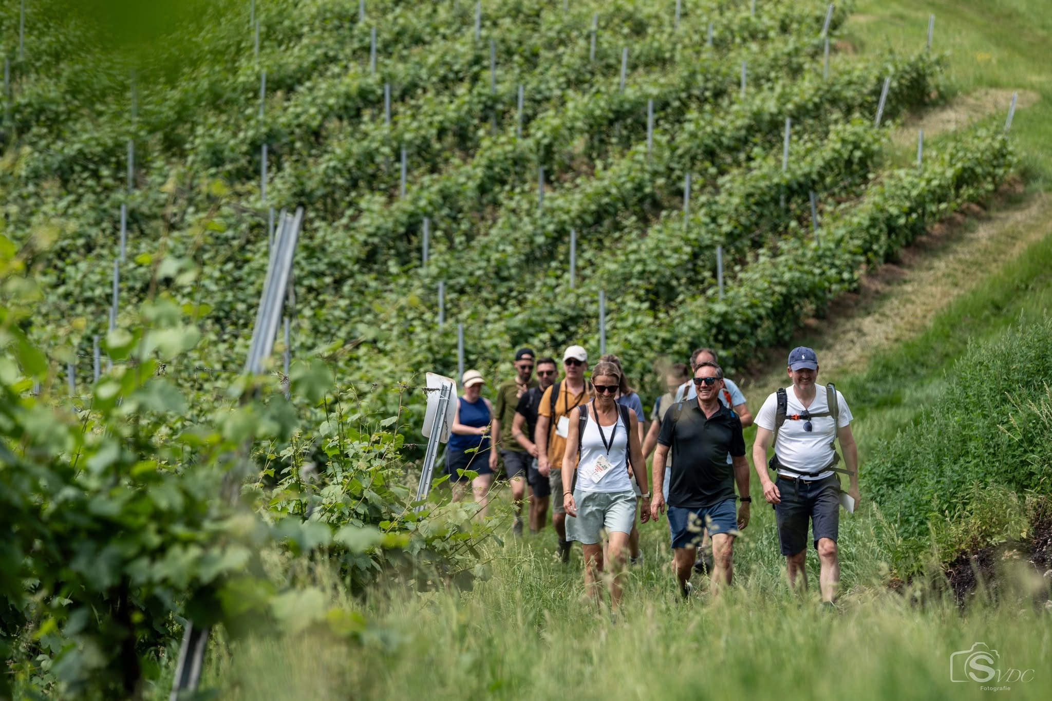 Heuvelland Entre Deux Monts Wine Walk