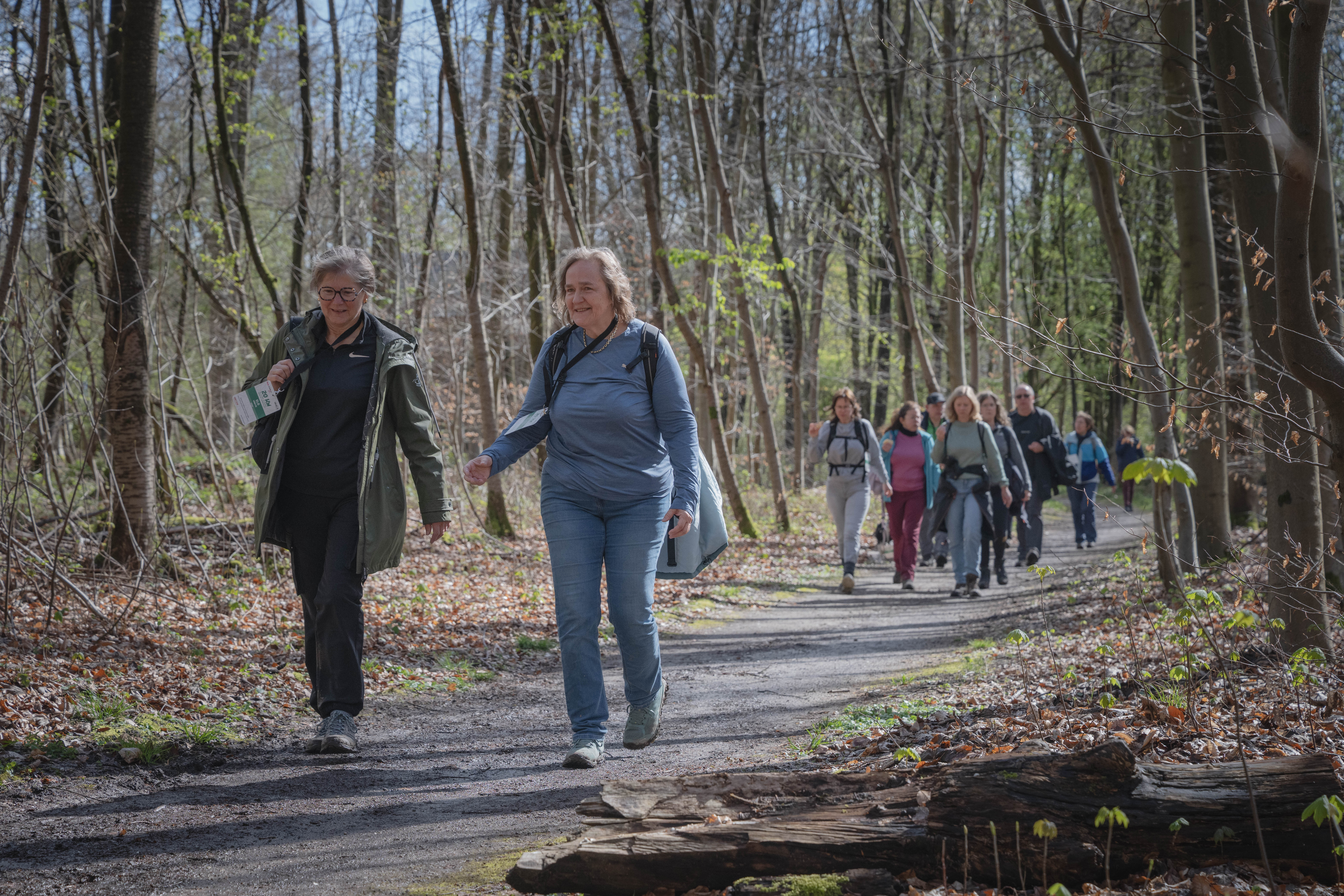 THE BRUSSELS "HIKING" CHALLENGE